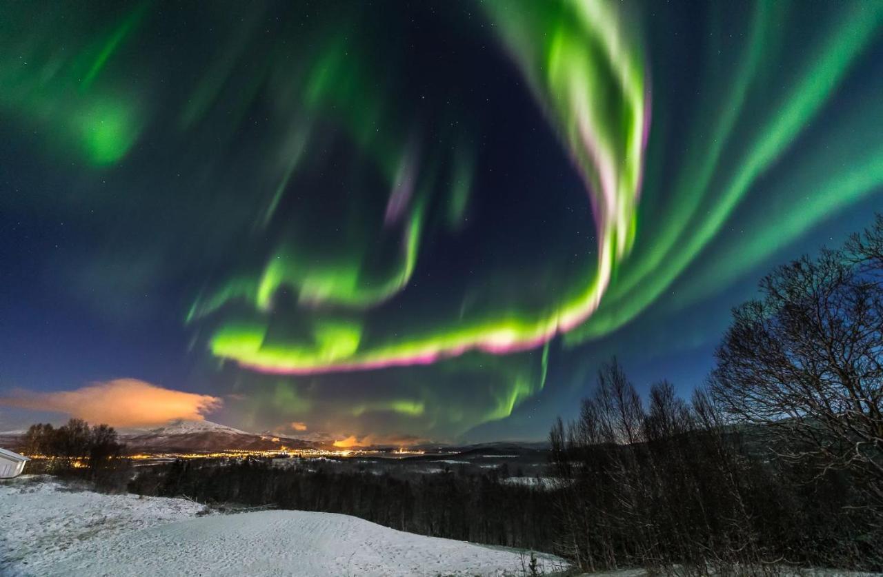 Aurora Borealis Observatory Hotel Silsand Exterior foto