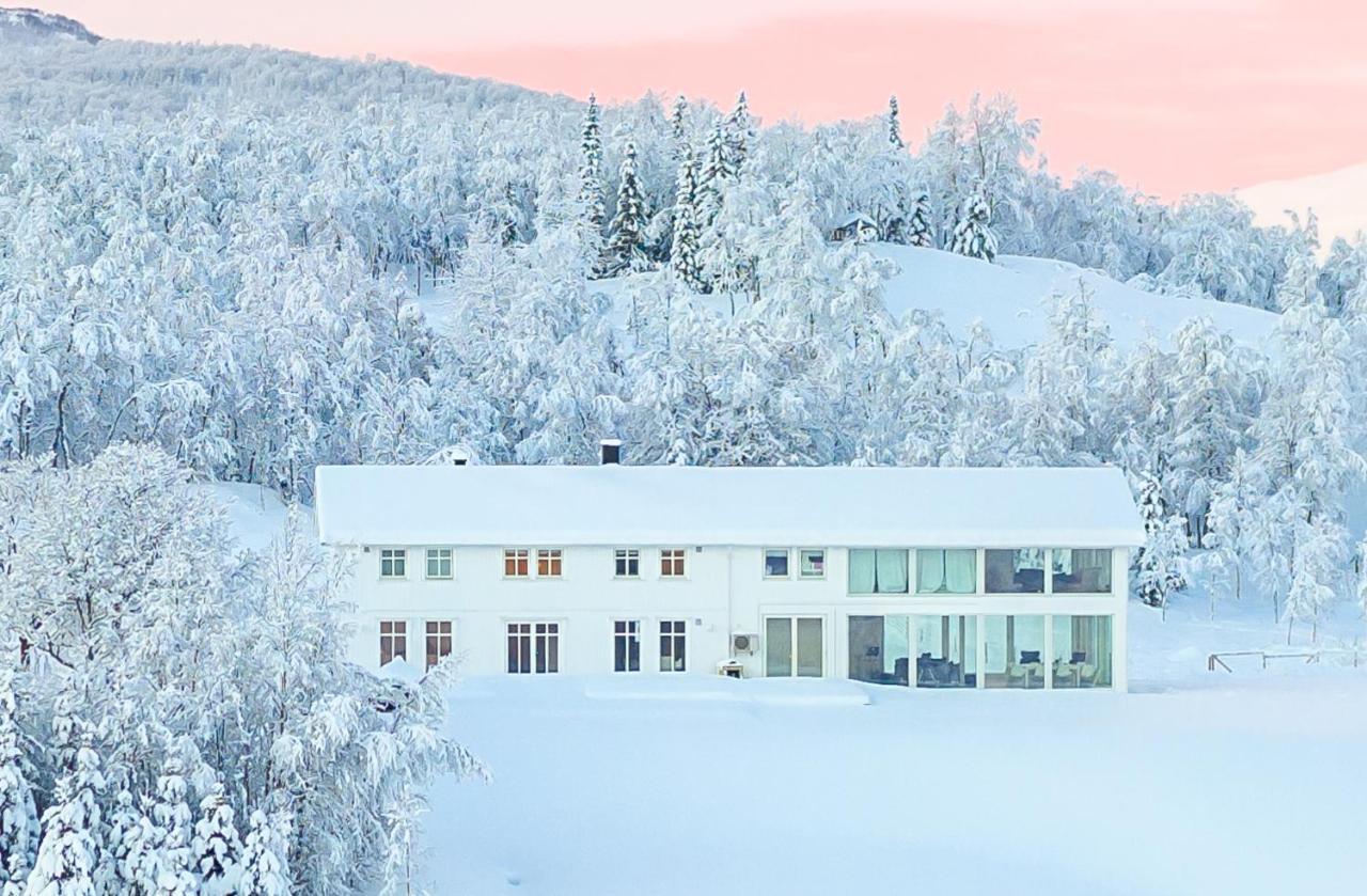 Aurora Borealis Observatory Hotel Silsand Exterior foto