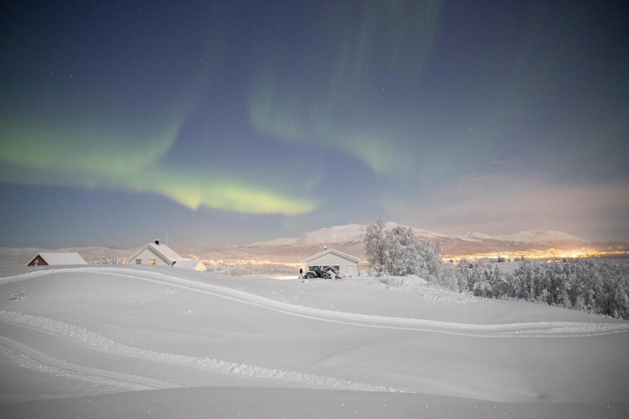 Aurora Borealis Observatory Hotel Silsand Exterior foto